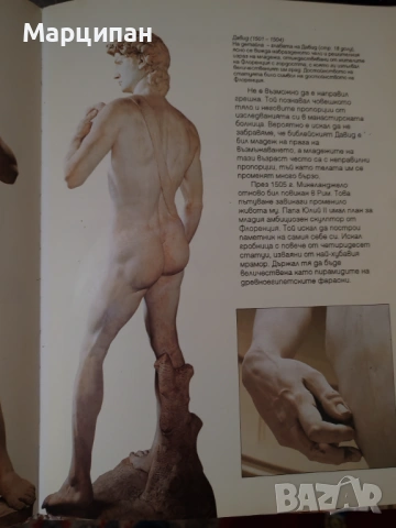 Микеланджело, снимка 3 - Художествена литература - 53463544