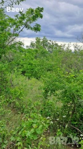 Продавам Парцел в Ментишето Аксаково Собственик, снимка 8 - Парцели - 50480011
