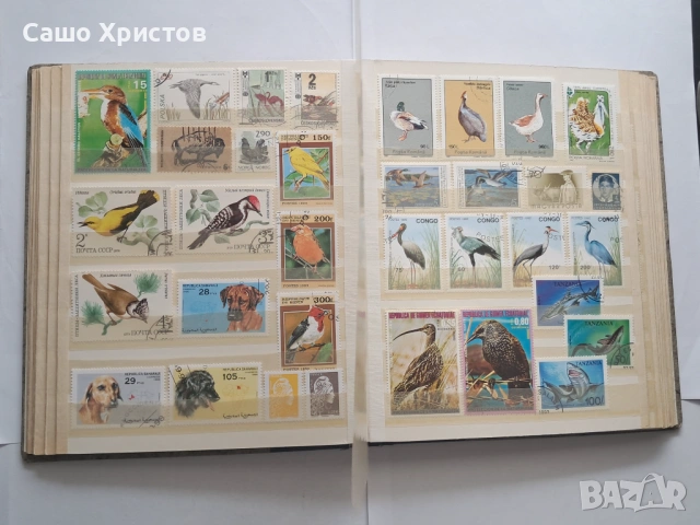 Пощенски марки тема ”Животни”., снимка 7 - Филателия - 53754416