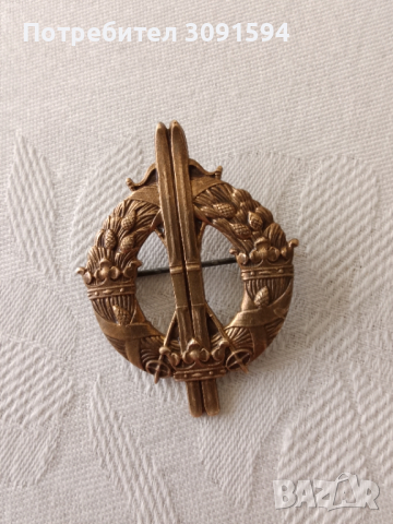 Колекционерска значка ,шведска военна ски част ,Втората световната, снимка 10 - Антикварни и старинни предмети - 44715706
