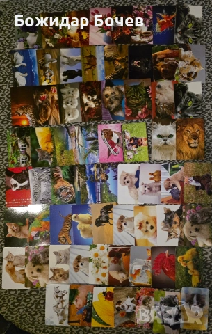 Календарчета- Футбол, Балкан, Животни , снимка 6 - Колекции - 53294962