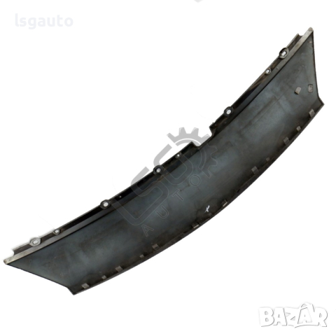 Лайсна над предна броня Renault Scenic II 2004-2009 ID: 123031, снимка 5 - Части - 44758985