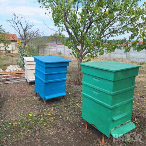 Пчелни кошери, снимка 4 - За пчели - 42386210
