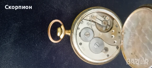 Швейцарски джобен часовник - 10 РУБИНА - ПРОМОЦИЯ, снимка 16 - Джобни - 48554694