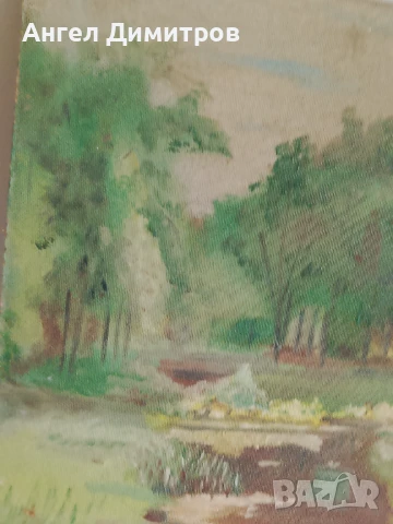 Маслена картина , снимка 9 - Картини - 51177000