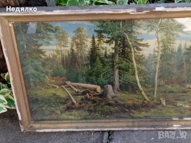 И.Шишкин,Рубка леса, картина, репродукция,1965г, снимка 5 - Антикварни и старинни предмети - 40356347