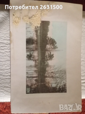 Картички и марки, снимка 8 - Филателия - 53323890