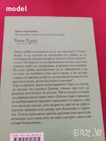 Нека ти разкажа - Хорхе Букай , снимка 7 - Художествена литература - 51196843