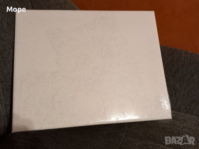 Рисуване по номера Коте, снимка 4 - Други игри - 41461299