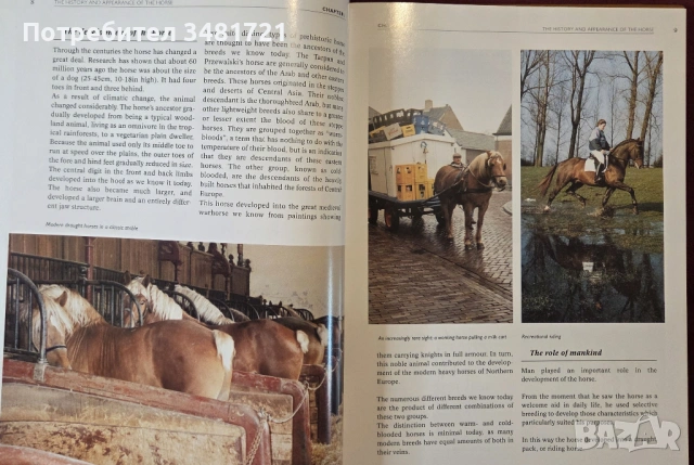 Конете и конните спортове / The Horse and Equestrian Sport, снимка 3 - Енциклопедии, справочници - 53748615