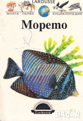 Моята първа енциклопедия: Морето, снимка 1 - Детски книжки - 42055418