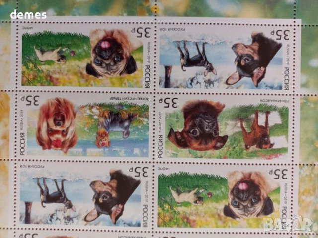 Блок марки Декоративни породи кучета, 2019, минт, снимка 3 - Филателия - 42160815