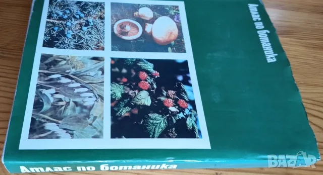 Атлас по ботаника + Наръчник по биология, снимка 5 - Учебници, учебни тетрадки - 56155785