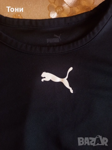 PUMA Оригинал Нов Мъжки Спортен Екип L, снимка 3 - Спортни дрехи, екипи - 53846640