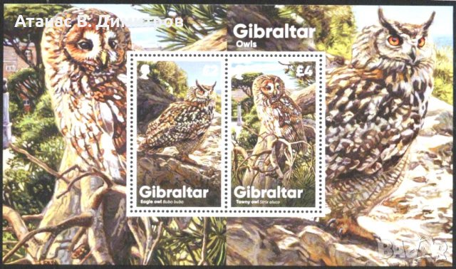 Чист блок Фауна Птици Сови 2020 от Гибралтар, снимка 1 - Филателия - 39219640