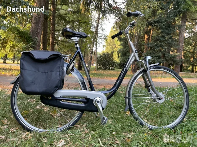 Gazelle gold line limited edition