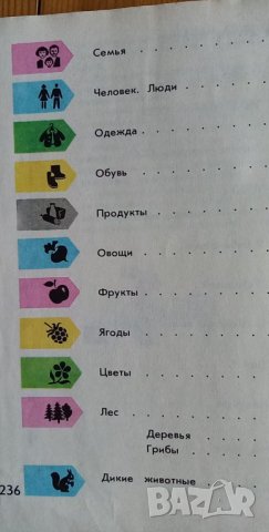 Картинный словарь русского языка от И. В. Баранников, А. Ш. Асадуллин, А. И. Грекул, В. А. Кашко, снимка 12 - Чуждоезиково обучение, речници - 35903787