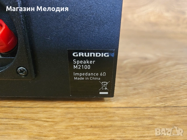Тонколони Grundig M-2100 – Сребрист дизайн и качествен немски звук, снимка 14 - Тонколони - 53872664
