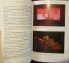 Colliding Worlds. How Cutting-Edge Science Is Redefining Contemporary Art, снимка 6