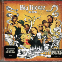 Big Brovaz-nu flow, снимка 1 - CD дискове - 36297938