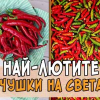 Семена от шестте най-лютите чушки на планетата : 1. Каролина Рийпър (Carolina Reaper) Средна лютивин, снимка 5 - Оранжерии - 31175677