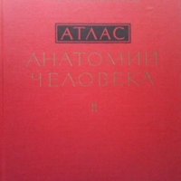 Атлас анатомии человека. Том 2 Р. Д. Синельников, снимка 1 - Специализирана литература - 39569278