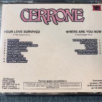 CERRONE , снимка 18 - CD дискове - 41968084
