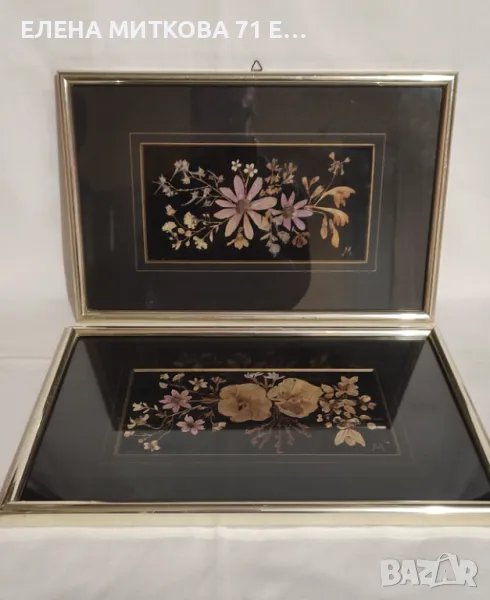 2 картини композиции от изсушени цветя с паспарту и метална рамка остъклени, снимка 1