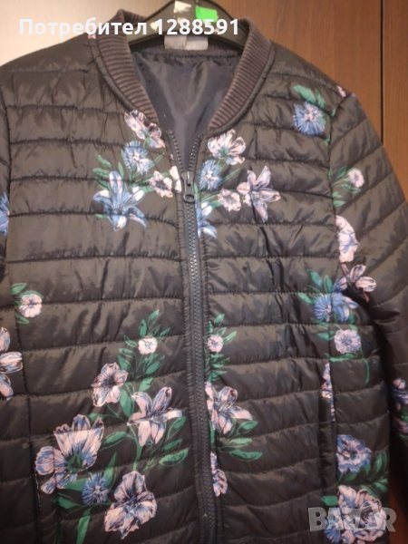 Яке , снимка 1