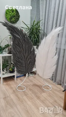 Големи пера за декорация , снимка 5 - Декорация за дома - 48748655