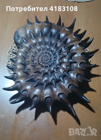 Голямо пано ръчна дърворезба Ноутилус - орех