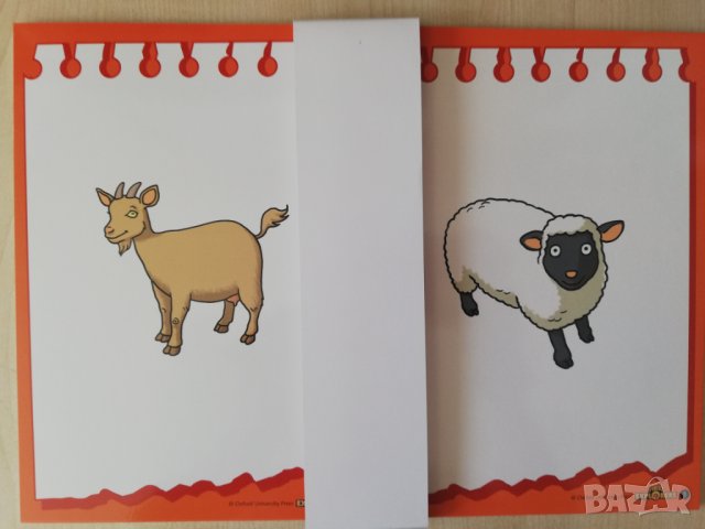 First Explorers 1 Teacher's Resource Pack, снимка 13 - Чуждоезиково обучение, речници - 41537839