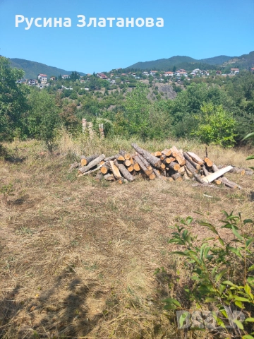 Продавам слънчево и равно УПИ в с. Владо Тричков, снимка 3 - Парцели - 52329833