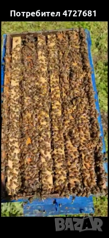 Пчелни отвкодки 