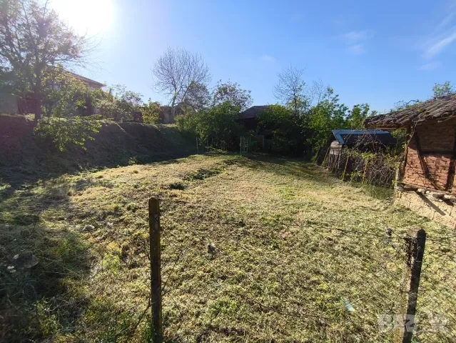 Косене на тревни площи , снимка 6 - Градински цветя и растения - 50153121