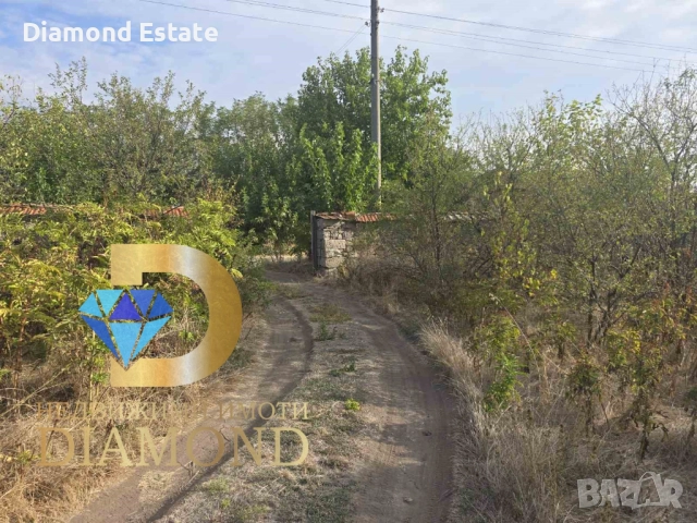 Едноетажна къща в село Сталево, общ. Димитровград, снимка 3 - Къщи - 51873382