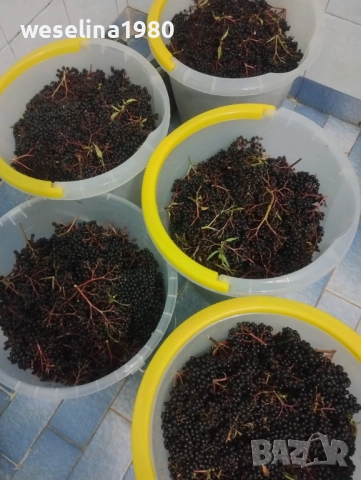 Продавам домашен сироп от бъз (бъзак), снимка 5 - Други - 30147199