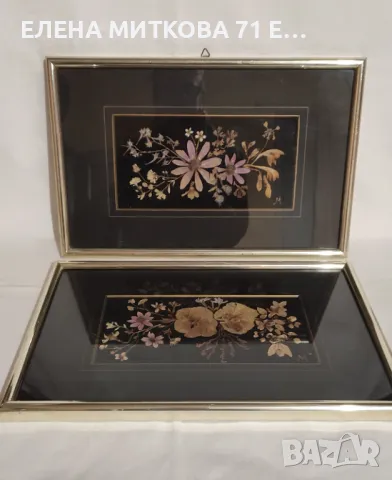 2 картини композиции от изсушени цветя с паспарту и метална рамка остъклени