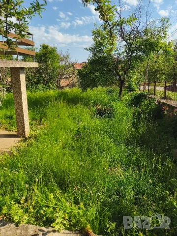 Косене на тревни площи , снимка 3 - Градински цветя и растения - 50153121