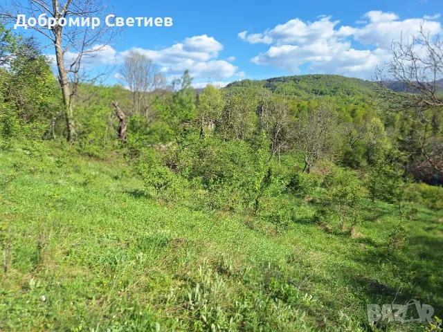 парцел в Еленският балкан , снимка 5 - Парцели - 50342176