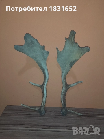 Рога от елен - Лопатар, снимка 2 - Други ценни предмети - 52829017