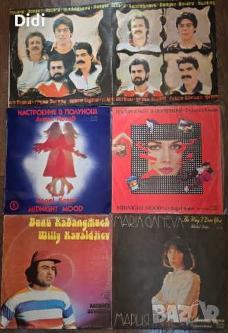 Грамофонни плочи, снимка 2 - Грамофонни плочи - 45320033