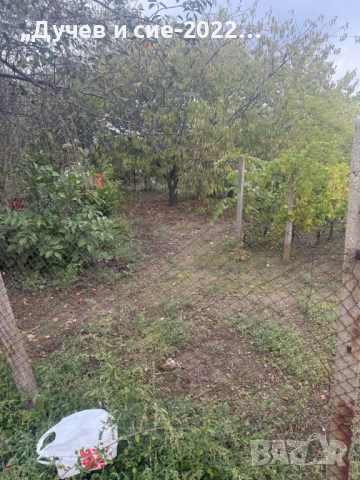 Продавам парцел с лозе и вода с. Калипетрово , снимка 2 - Парцели - 52087193