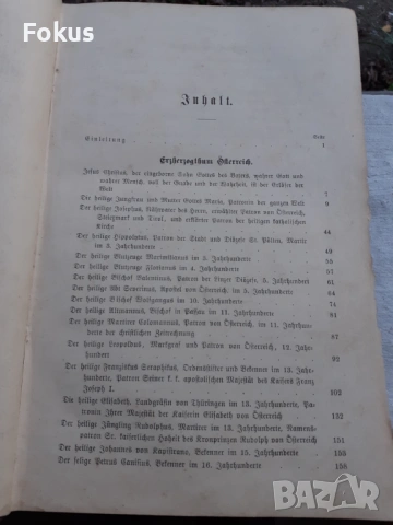 МНОГО СТАРА НЕМСКА БИБЛИЯ 1887 ГОДИНА, снимка 5 - Антикварни и старинни предмети - 53479194