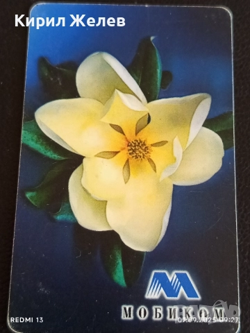 Две фонокарти серия ЦВЕТЯ ОРХИДЕЯ редки за КОЛЕКЦИЯ ДЕКОРАЦИЯ 48658, снимка 2 - Колекции - 51630439