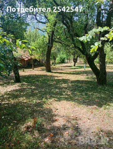 Продавам ПАРЦЕЛ в с.Типченица област Враца , снимка 7 - Парцели - 55648311