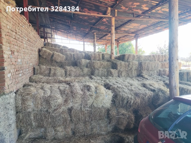 Бали сено, първи откос, реколта 2025, снимка 3 - За селскостопански - 53180973