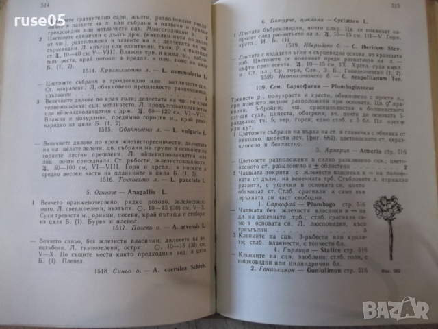 Книга "Екскурзионна флора на България-Стою Вълев" - 736 стр., снимка 6 - Енциклопедии, справочници - 36312417