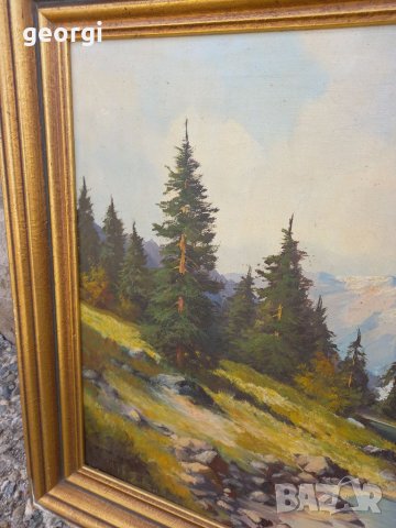 Стара картина пейзаж върху платно, снимка 4 - Картини - 40067799