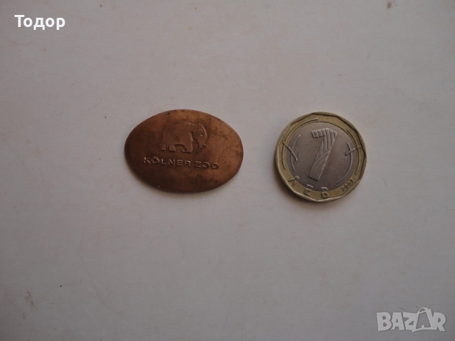 Елипсовидна монета знак Kolner  Zoo